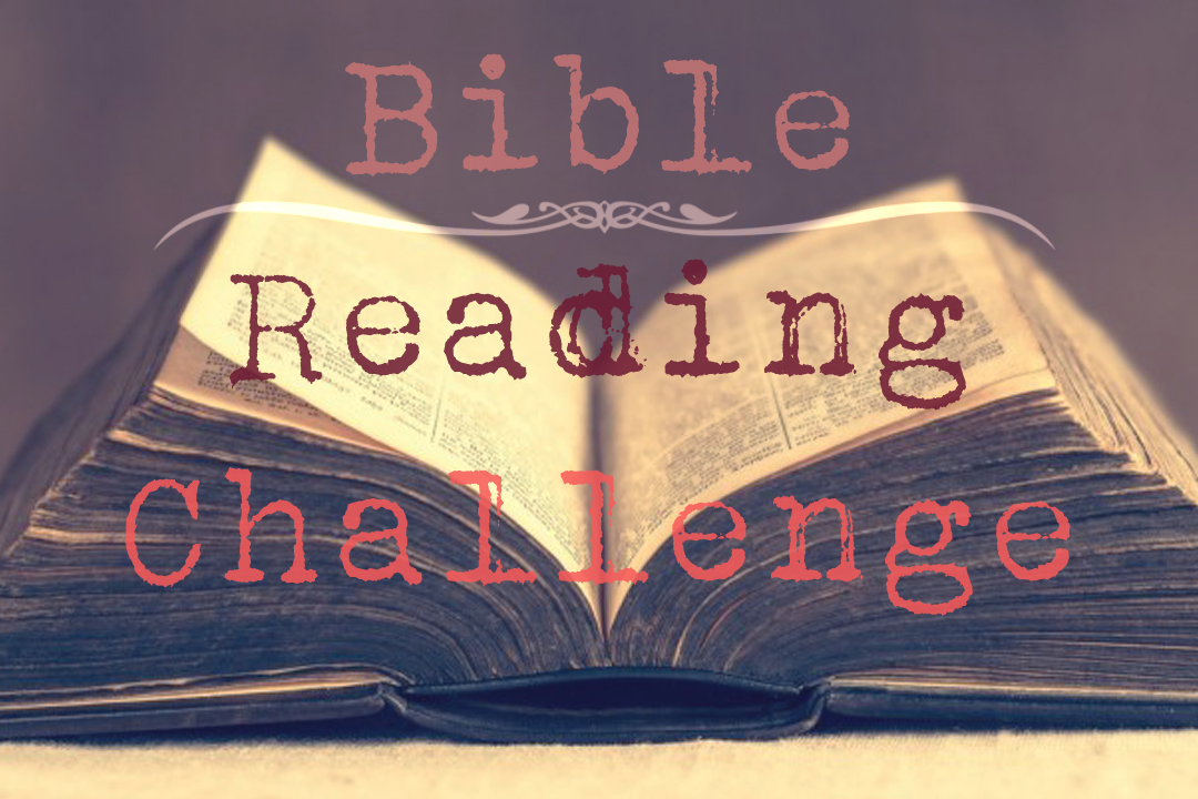 Image result for summer bible reading challenge